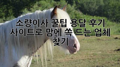 소량이사 꿀팁🍯: 용달 후기 사이트로 맘에 쏙 드는 업체 찾기!