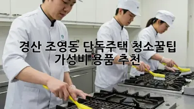 경산 조영동 단독주택 청소🧹꿀팁 & 가성비 용품 추천✨