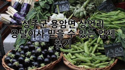 성주군 용암면 상언리 용달이사: 믿을 수 있는 업체 찾기