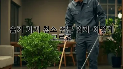 습기 제거 청소 전문 업체, 어떻게 고르죠?